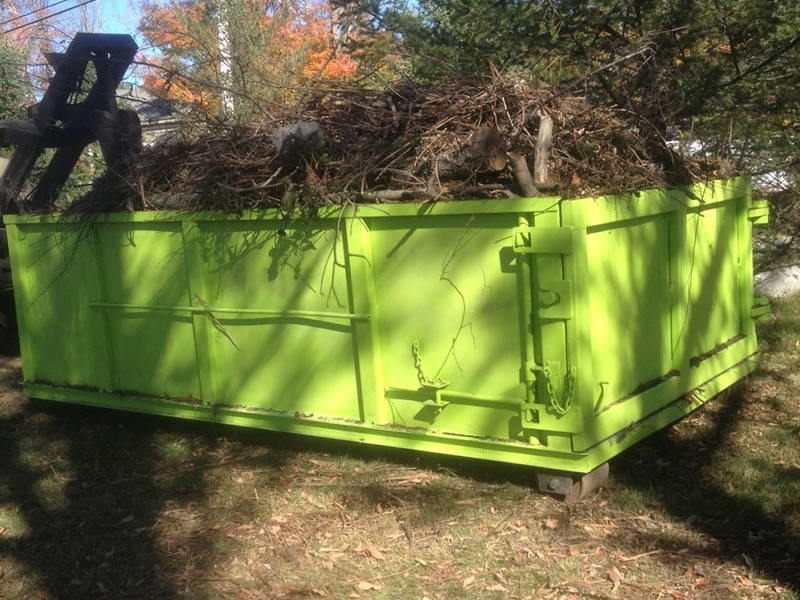 Yard Cleaning Dumpster in Conway